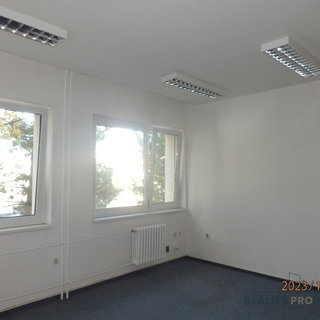 Pronájem kanceláře 40 m² Brno, Kaštanová
