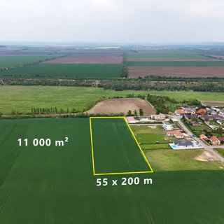 Prodej komerčního pozemku 11 000 m² Tasovice, 