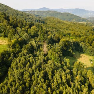 Prodej lesa 20 558 m² Nýdek, 