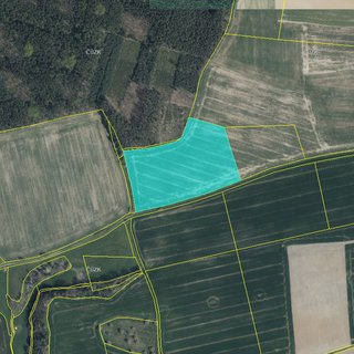 Prodej zemědělské půdy 35 343 m² Honezovice, 