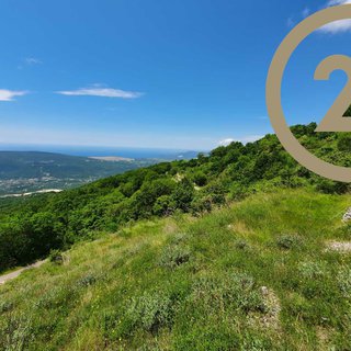 Prodej ostatního pozemku 4 160 m² v Černé Hoře