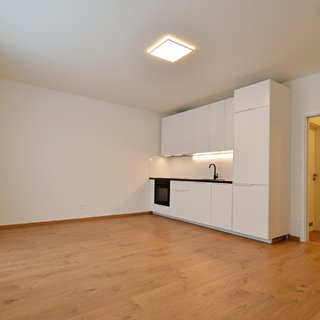 Pronájem bytu 1+kk a garzoniéry 36 m² Praha, Sedlářova