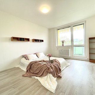 Pronájem bytu 2+1 60 m² Brno, Palackého třída