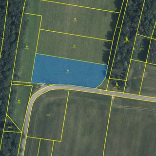 Prodej zemědělské půdy 4 802 m² Senice na Hané, 