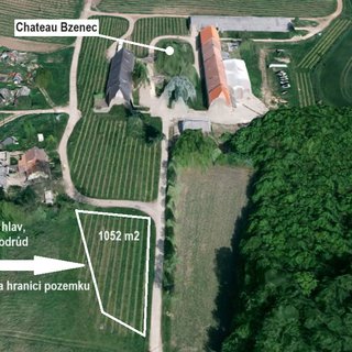 Prodej zemědělské půdy 1 129 m² Bzenec, 
