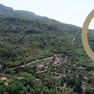 Prodej ostatního pozemku 30 000 m² v Černé Hoře