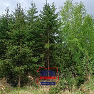 Prodej lesa 29 758 m² Děkanovice, 