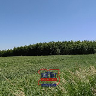 Prodej zemědělské půdy 49 500 m² Borkovice, 
