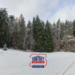 Prodej lesa 14 776 m² Horní Bukovina, 