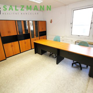 Pronájem kanceláře 20 m² Plzeň, Skladová