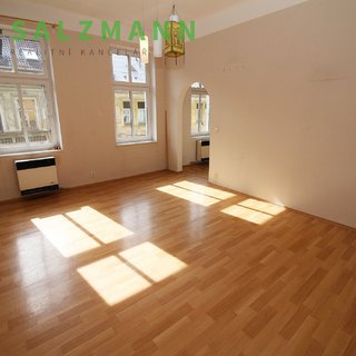 Pronájem bytu 1+1 42 m² Plzeň, V Šipce