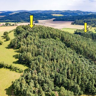 Prodej lesa 28 935 m² Miloňovice