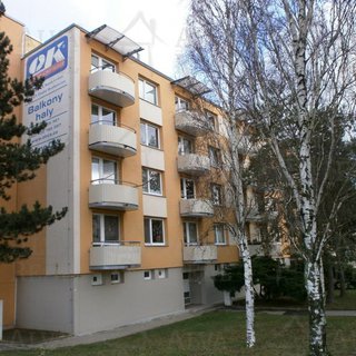Pronájem bytu 1+1 32 m² Šlapanice, Brněnská