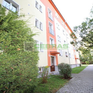 Pronájem bytu 1+1 42 m² České Budějovice, Jánošíkova
