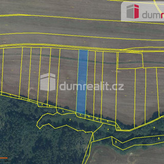 Prodej zemědělské půdy 3 516 m², Dolní Lhota