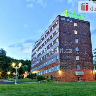 Prodej hotelu a penzionu 12 205 m² Mariánské Lázně, Tyršova