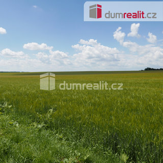 Prodej zemědělské půdy 11 679 m² Dolní Bousov, Horní Bousov