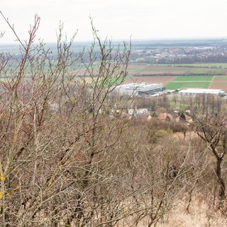 Prodej zemědělské půdy 4 860 m² Židlochovice
