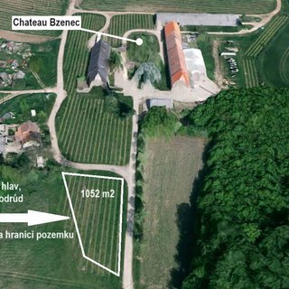 Prodej zemědělské půdy 1 129 m² Bzenec