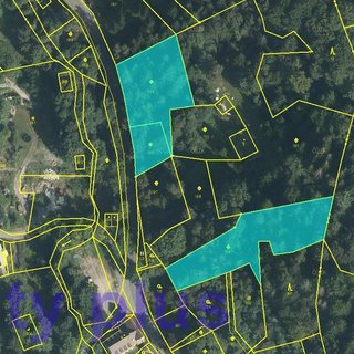 Prodej lesa 4 465 m² Bedřichov