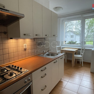 Pronájem bytu 1+1 39 m² Karviná, Cihelní