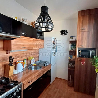 Prodej bytu 3+1 74 m² Rýmařov, Žižkova