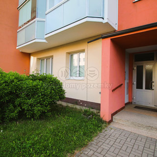 Pronájem bytu 1+1 35 m² Žďár nad Sázavou, Neumannova