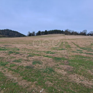 Prodej zemědělské půdy Letovice