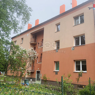 Pronájem bytu 1+1 39 m² Ostrava, Jedličkova