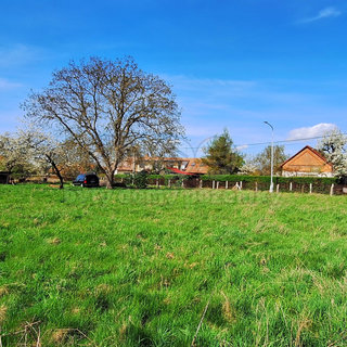 Prodej stavební parcely Barchov