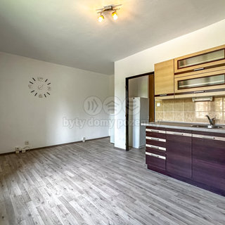 Prodej bytu 1+kk a garzoniéry 25 m² Orlová, Masarykova třída