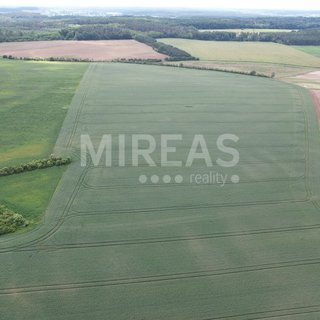 Prodej zemědělské půdy 23 867 m² Jiřice, 