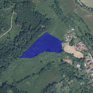 Prodej zemědělské půdy 18 045 m² Sušice, Na Štěbetce