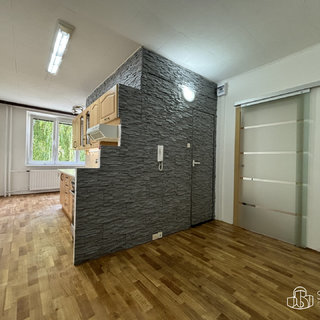 Pronájem bytu 1+1 42 m², Švabinského