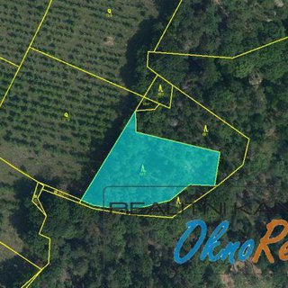 Prodej lesa 2 890 m² Boseň