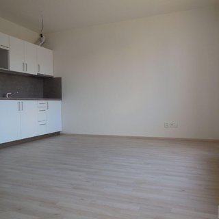 Pronájem bytu 1+kk a garsoniéry 30 m² Brno, Tilhonova