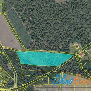 Prodej lesa 13 929 m² Ohaře