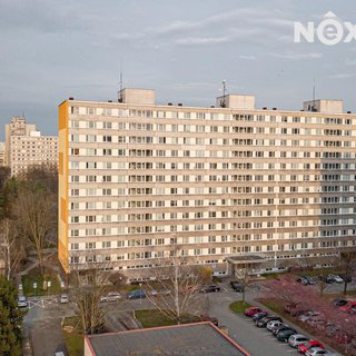 Pronájem bytu 1+kk a garsoniéry 28 m² Pardubice, Valčíkova