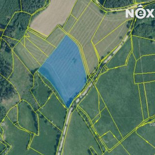 Prodej zemědělské půdy 19 746 m² Nová Ves, 
