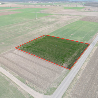 Prodej zemědělské půdy 3 665 m²