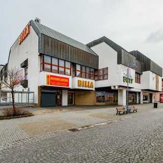 Pronájem obchodu 1 305 m² Týn nad Vltavou, Horní Brašov