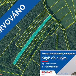 Prodej lesa 4 098 m² Domanín