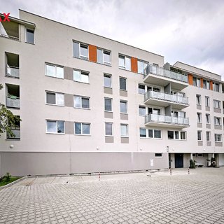 Prodej bytu 1+kk a garsoniéry 29 m² České Budějovice, Krčínova