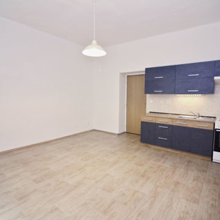Pronájem bytu 2+kk 39 m² Žatec, Třebízského