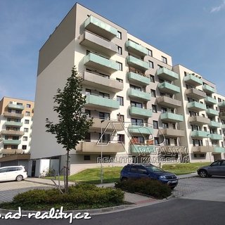 Pronájem bytu 1+1 53 m² České Budějovice, Na Zlaté stoce