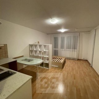 Pronájem bytu 1+kk a garsoniéry 30 m², Ravennská
