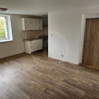 Pronájem bytu 1+kk a garzoniéry 34 m² Ledenice, Budějovická