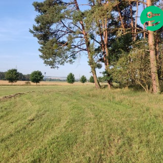 Prodej zemědělské půdy 13 070 m² Konárovice