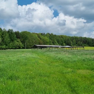 Prodej zemědělské půdy 645 446 m² Hošťka