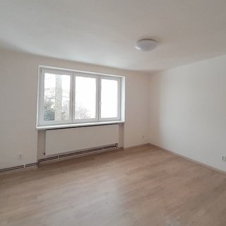 Pronájem bytu 2+1 67 m², Pod Salašem